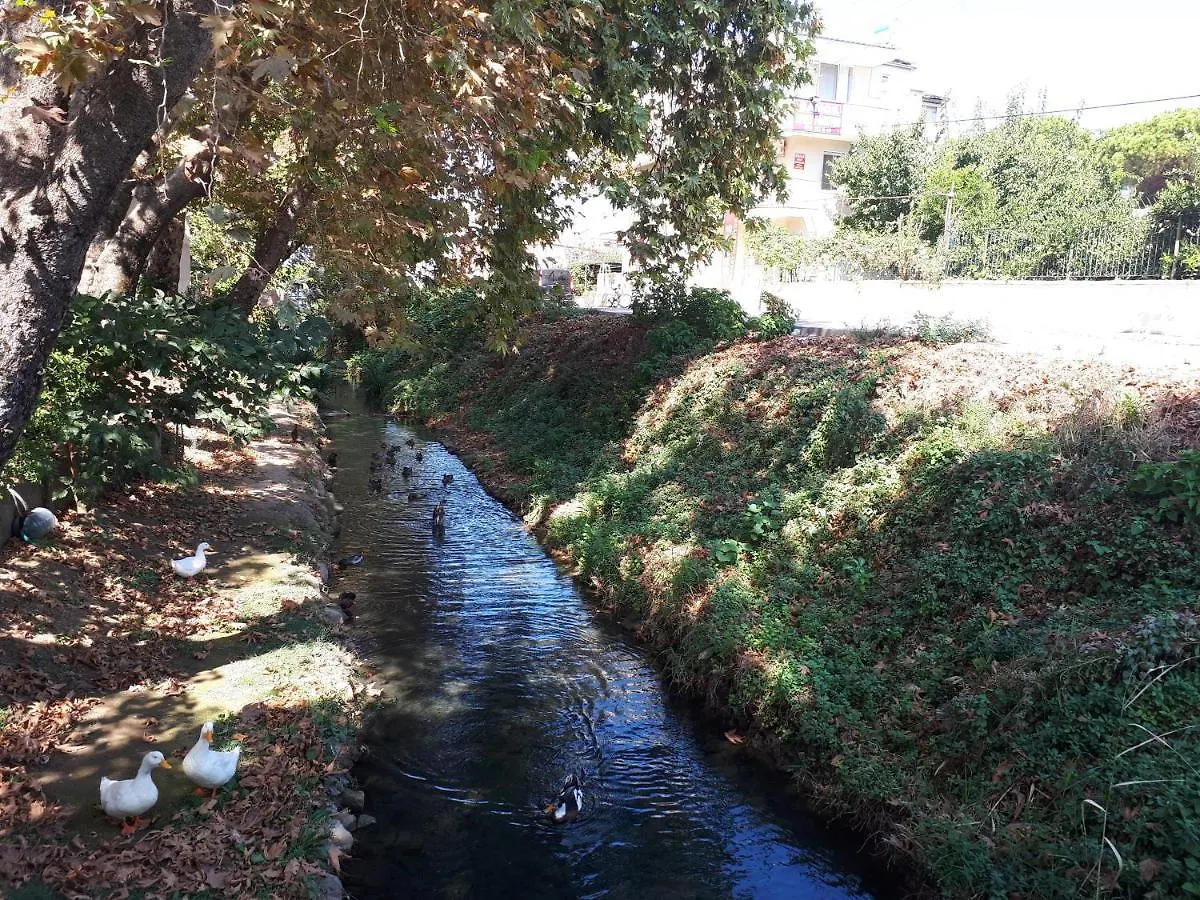 Samos Apart Pension Güzelçamlı Apart Otel