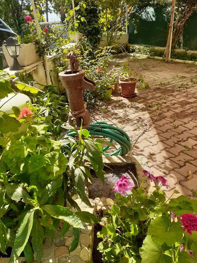 Samos Apart Pension Güzelçamlı